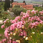 Oleandri