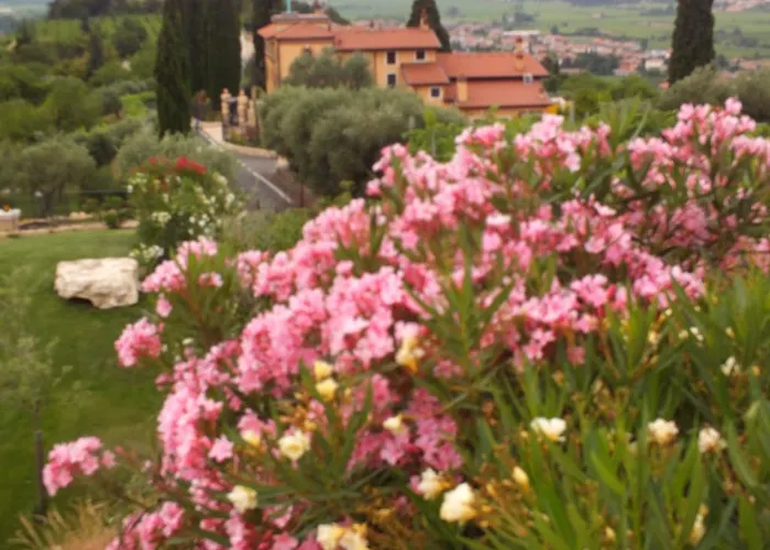 Oleandri