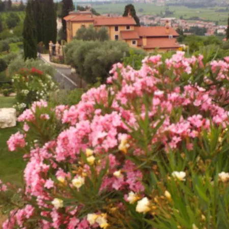 Oleandri